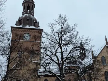 Free tour di Oslo in italiano - scopri la città in modo divertente e senza fretta