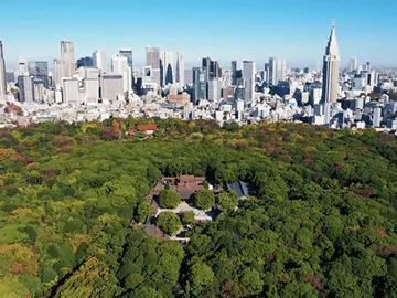 Tokyo: Meiji Shrine Walking Tour — Shinto & Imperial System