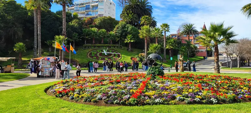 Viña del Mar para brasileiros