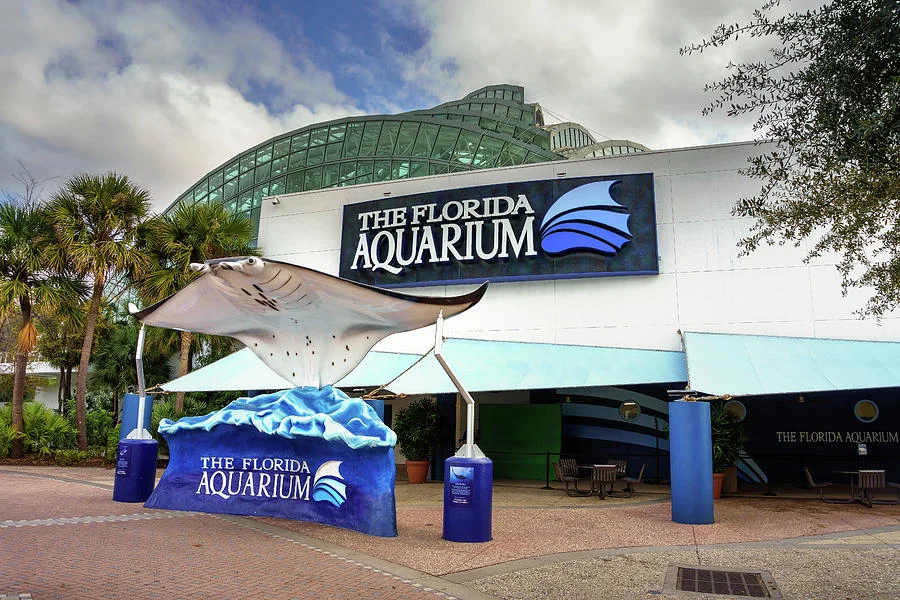 El mejor recorrido por el paseo fluvial de Tampa