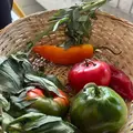 🌶️ Amazing Lima Street Food Tour & Market Experience 🎬