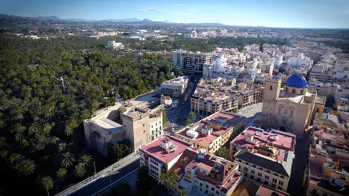 Essential Elche with a local guide: palm trees, history, and curiosities