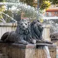 Explore Aix-en-Provence: History and Culture with a local guide