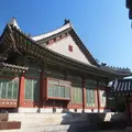 Seoul Contrast: Royal Secrets of Unhyeongung, Changdeokgung, and Changgyeonggung (UNESCO) 📷