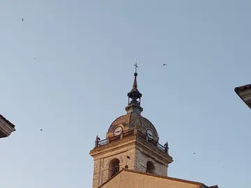 Una passeggiata reale: origini e storia.