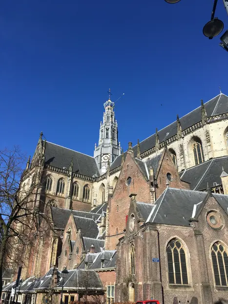 Das Beste von Haarlem: Geschichte, Helden, Trubel & Verborgene Schätze