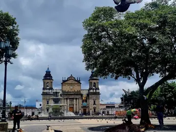 Tours in the afternoons through the historic center of Guatemala City