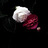 Yuting