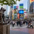 ⛩️ SHIBUYA + HARAJUKU 🌸 "Modern to Sacred" - Shibuya Cross, Meiji Shrine, Takeshita Street, Cherry Trees, and MORE!