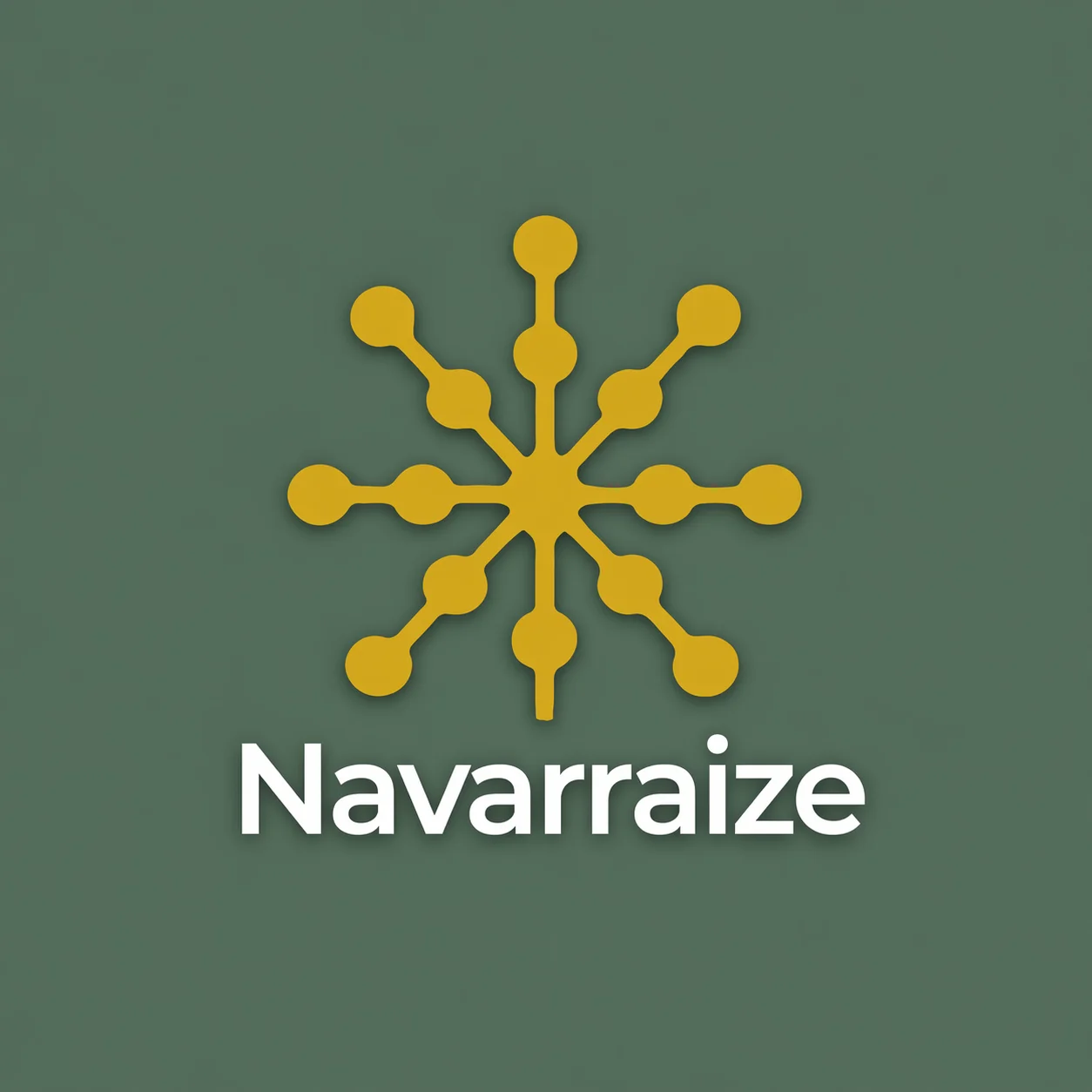 NAVARRAIZE 