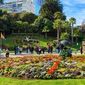 Viña del Mar for Brazilians