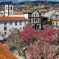 500 Years in Two Hours: The Funchal Historical Walk
