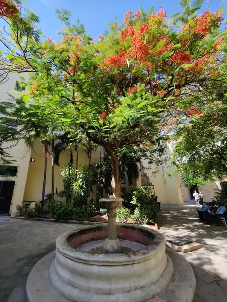 Tour image 8
