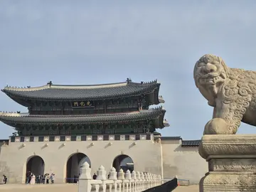 [Free] Gyeongbokgung Palace & Hidden Photo Spots