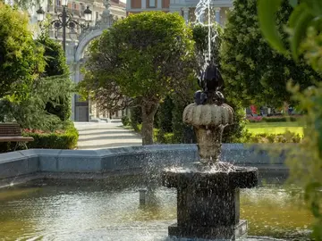 free tour of the unique trees of Retiro