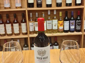 Walking Tour: Mendoza, Tierra de Vinos