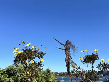 Puerto Varas zu Fuß – Free walking tour