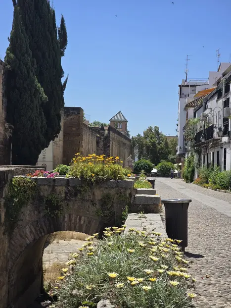 Tour image 9