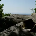 Sintra Nature Hiking Walks - Free Walking Tour