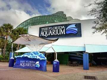 El mejor recorrido por el paseo fluvial de Tampa