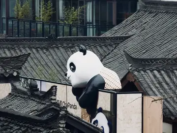 Passeggia attraverso il Vicolo Kuanzhai: Rivivi i tumulti di "Shaocheng".