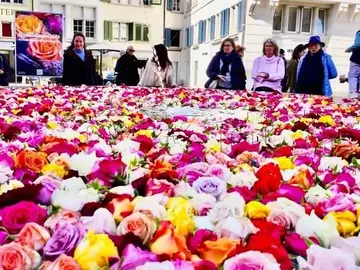 Free Walking Tour : Zurich insolite et anecdotes