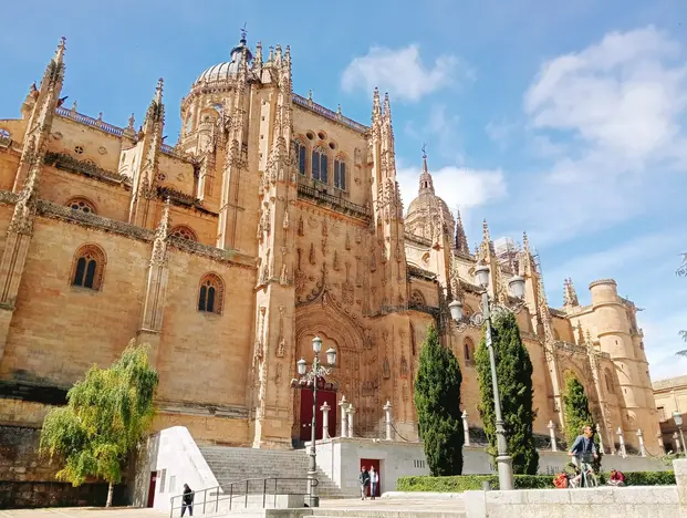 Lo esencial de Salamanca free tour