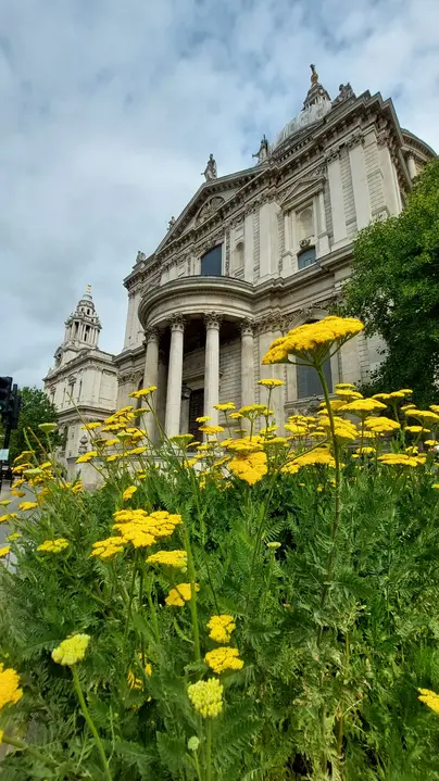 Tour image 3