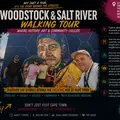 Woodstock & Salt River: Street Art, History & Community Walking Tour
