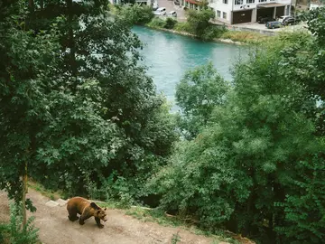 Chroniken des Bären: Geheimnisse des alten Bern KOSTENLOSE TOUR
