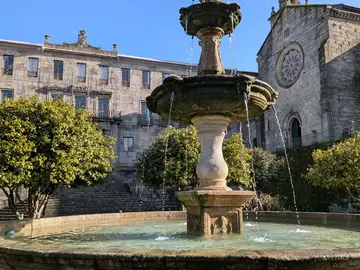 Historia y piedra: explorando el casco histórico medieval de Pontevedra