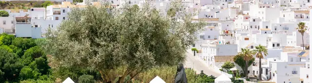 Vejer de la Frontera