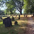 A Boston Tour combining History and Pete's 50 Years of City Living Experiences !