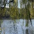A Slow Local Life Walk in Kunming: Cuihu Park, Hidden Streets & Everyday Life