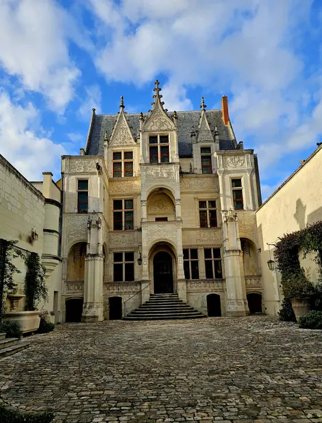 Visit the city of Tours, an essential tour before visiting the Castles of the Loire Valley (Available in Spanish)
