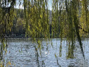 A Slow Local Life Walk in Kunming: Cuihu Park, Hidden Streets & Everyday Life