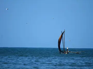 Negombo walking tour with Kasun.. 