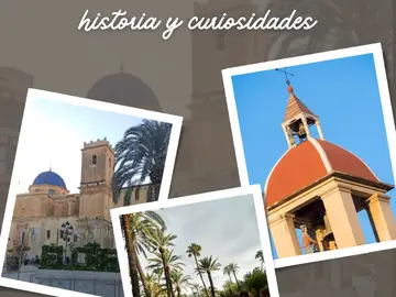 Elche mit lokalem Führer: Palmen, Geschichte und Kuriositäten