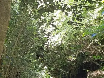 Exploring the Paseo la Aguada. Maldonado PDE