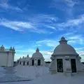 Downtown Leon and Cathedral rooftop domes.