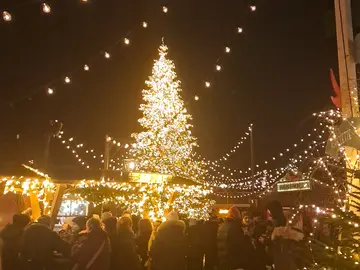 Eine Tour durch die beleuchtete Stadt Zürich mit weihnachtlichem Flair