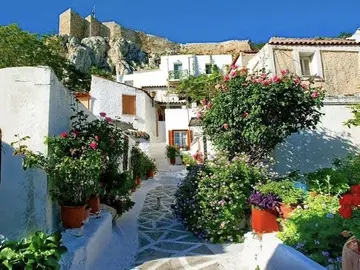 Atenas más allá de la Acrópolis: Experimenta Atenas como un local con un amigo peludo 🐶