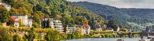 Free walking tour in Heidelberg