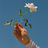 Noor