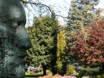 18th Century Dublin City Park Tour