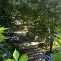 Coulée Verte - The Green Escape of Paris!