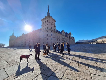 Visita gratuita di San Lorenzo de El Escorial e della foresta di La Herrería con o senza cane.