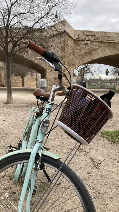 Treasure Hunt in Turia Park - Valencia