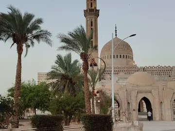 Tour de la Paz: La Mezquita Al-Mustafa y la Catedral de Sharm