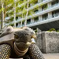 Free walking tour di Jurmala: una perla sul Mar Baltico